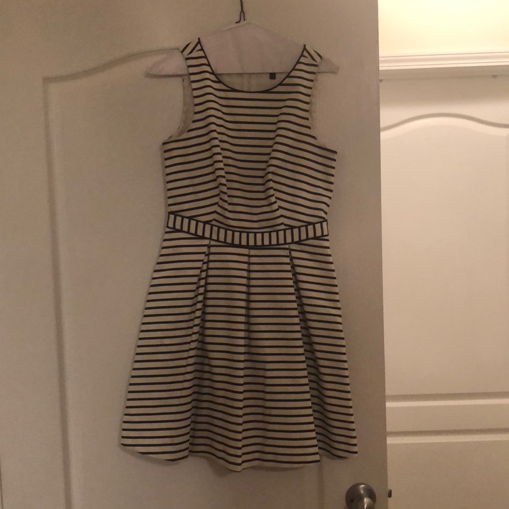 The Limited size 2. Navy and off white.